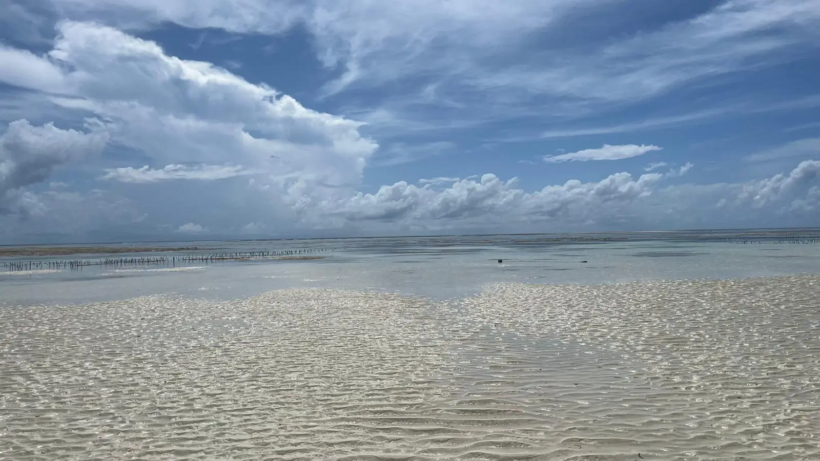 Luxury villa with ocean view